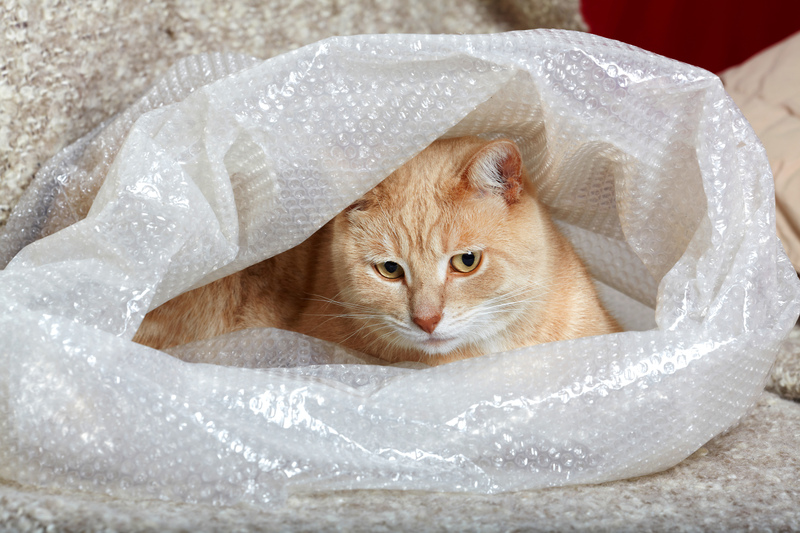 moving companies packing services